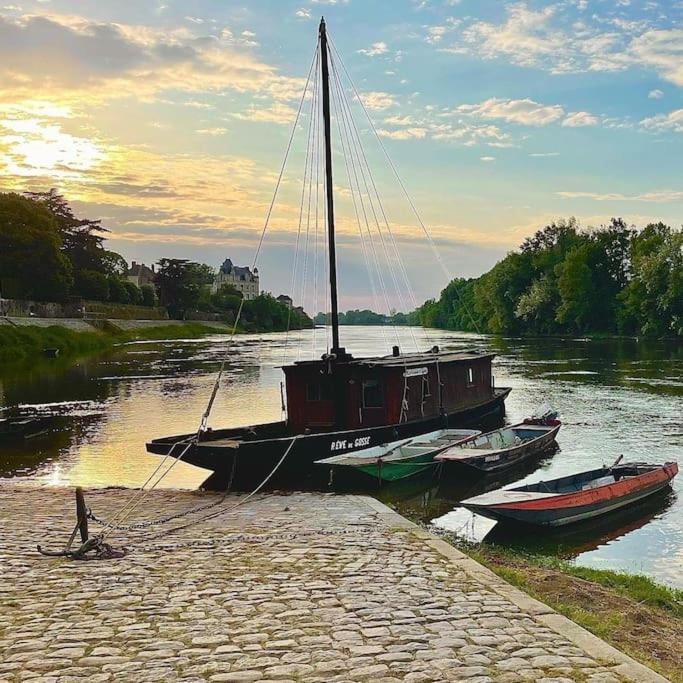 Le 20 La Loire Maison De Bord De Loire Chalonnes-sur-Loire Eksteriør billede